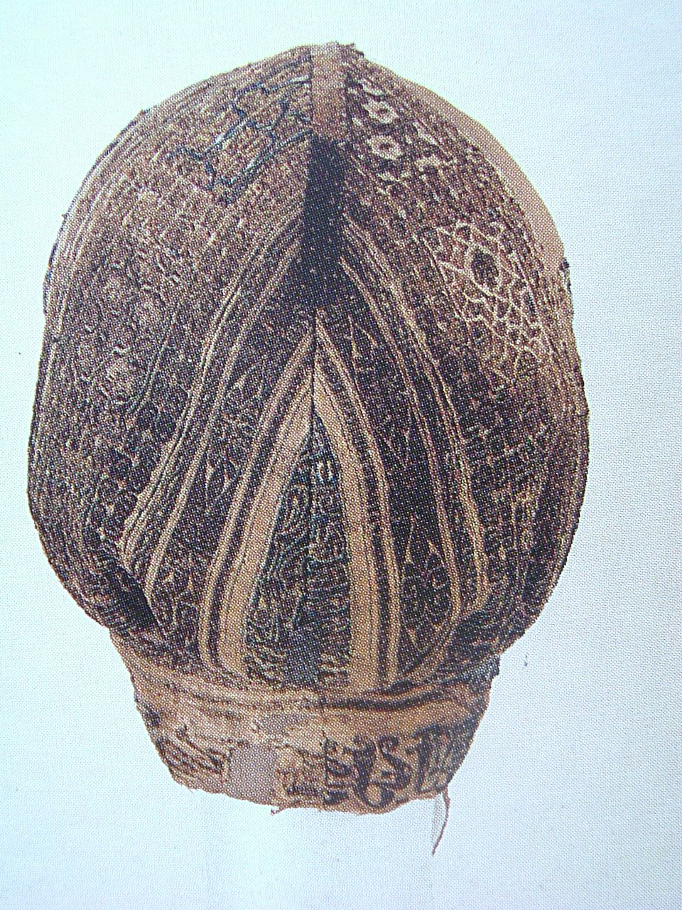 Cofia, infante Fernando, 1211 AD, Spain, Museo de Burgos