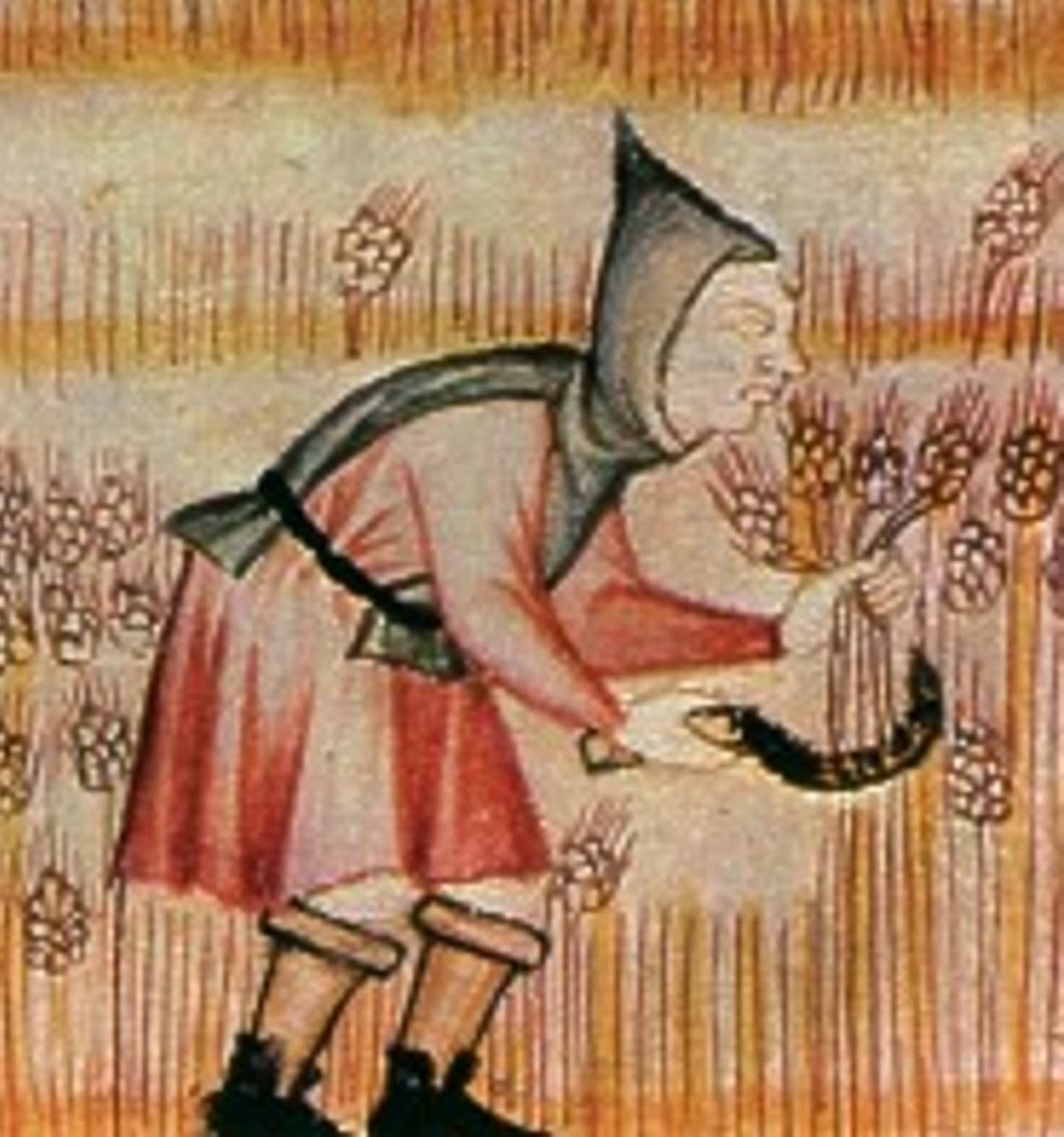 Farmers' hood "capucha", 1284 AD, Spain, CSM FlorenciaMsBR20 396, folio 14r-1