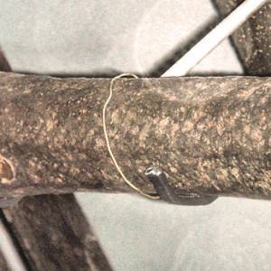 07-800px-hand-bombard-western-europe1380-musee-de-l-armee.jpg