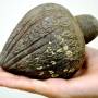 14-hand-grenade.jpg