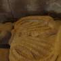19-img_4203.jpg